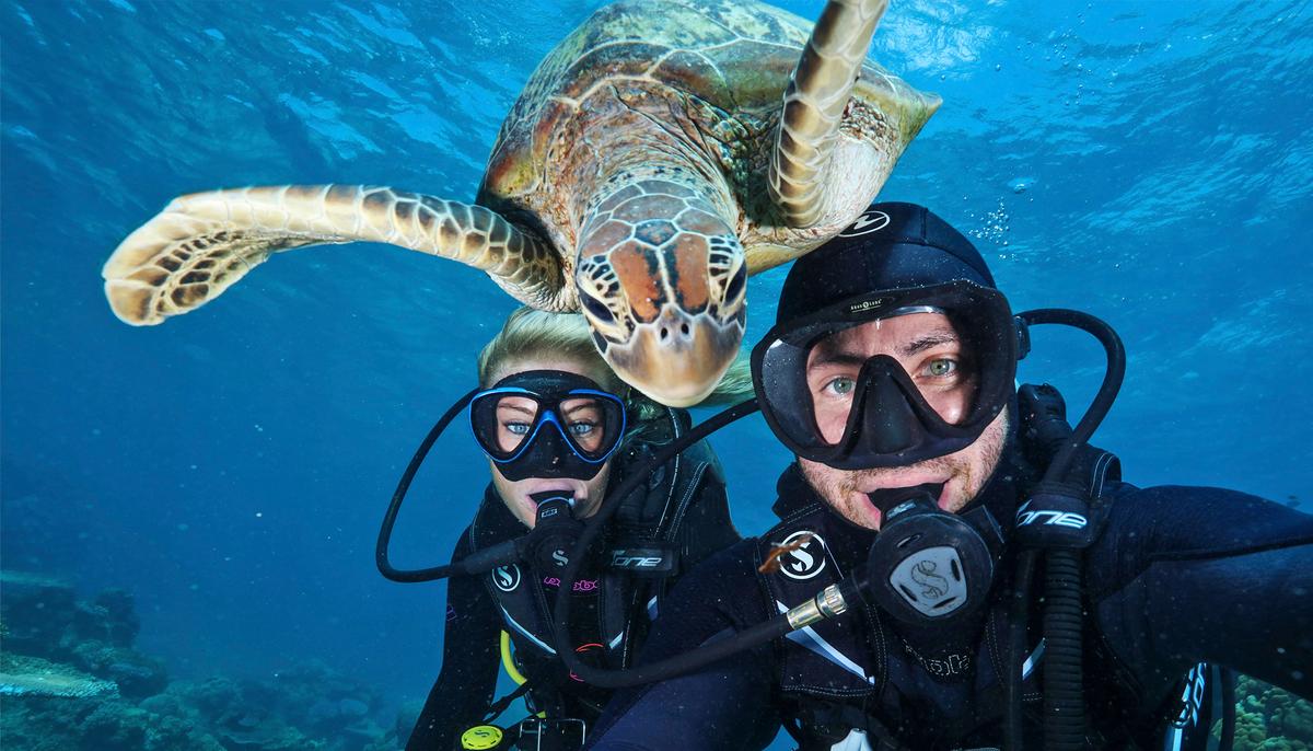 5 of the Funniest Animal Photobombs That Will Brighten Your Day