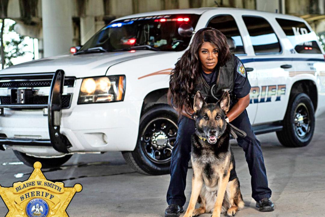 St Mary Parish Sheriff Office’s First Female K9 Handler Meets New German Shepherd Partner Jace