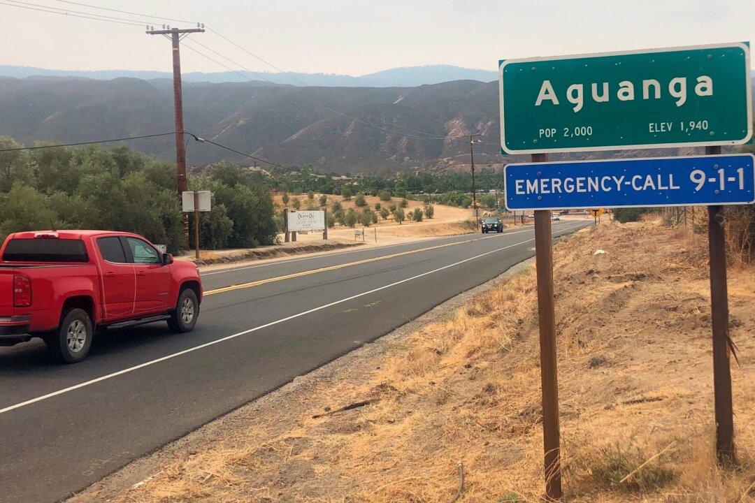 7 Fatally Shot at Illegal California Marijuana Growing Site