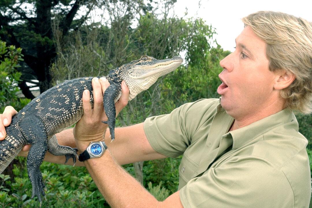 Steve Irwin’s Family Looks Back on His Life and Legacy on the 14th Anniversary of His Death