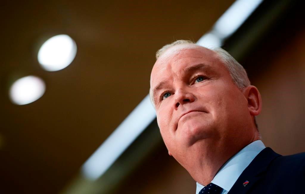 Scheer Finds New Place in O’Toole’s Cabinet