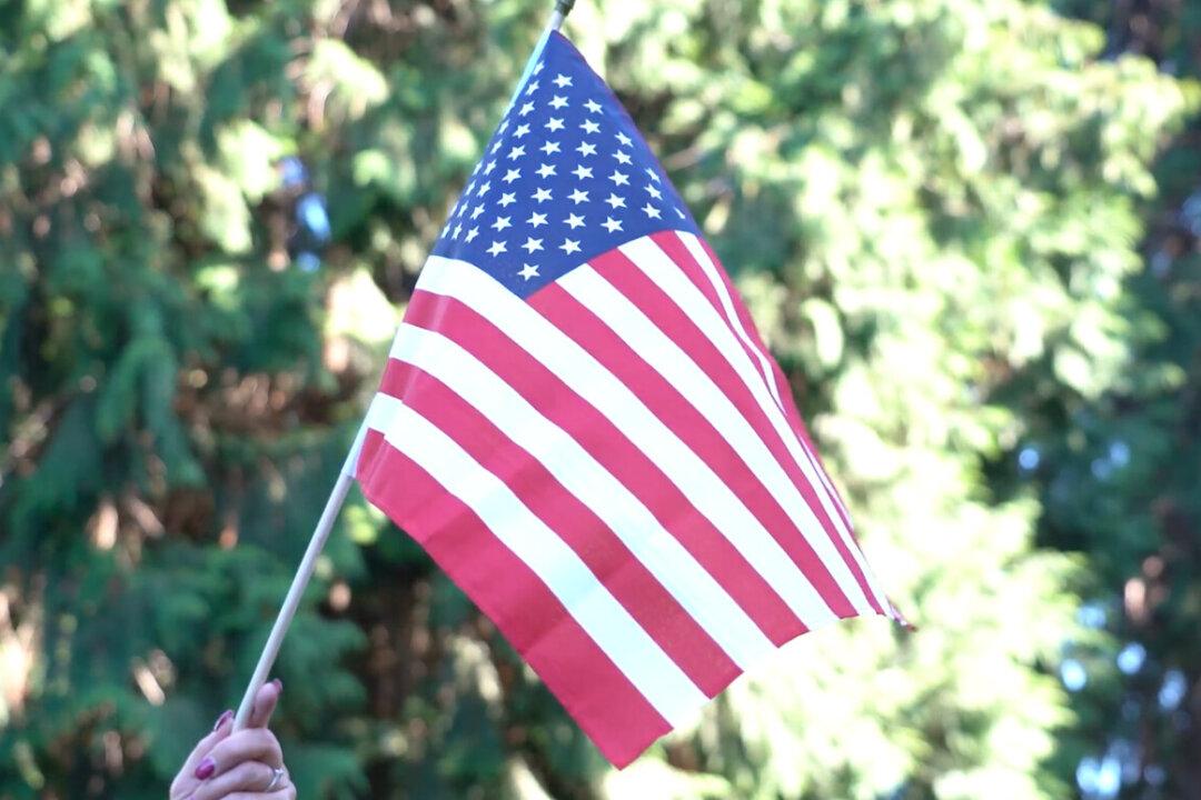 Boy Rips American Flag From Neighbor’s Lawn While Mother Watches