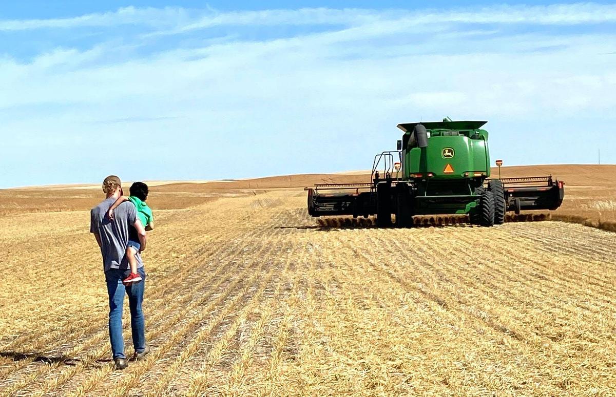 Harvest Time: A Tradition of Generations