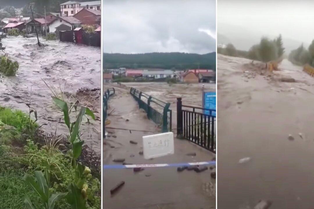 Three Typhoons Hit Northeastern China, Causing Floods and Crop Destruction