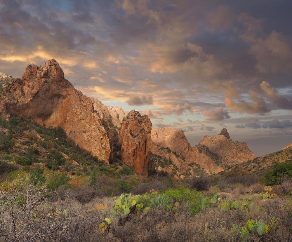 Chisos Basin. (Steve Bower/Shutterstock)