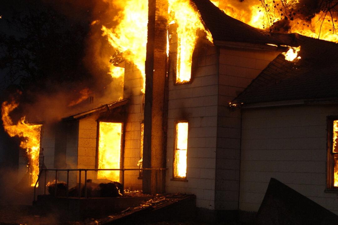 Barking Great Dane Credited for Saving Whole Family From Horrific Housefire