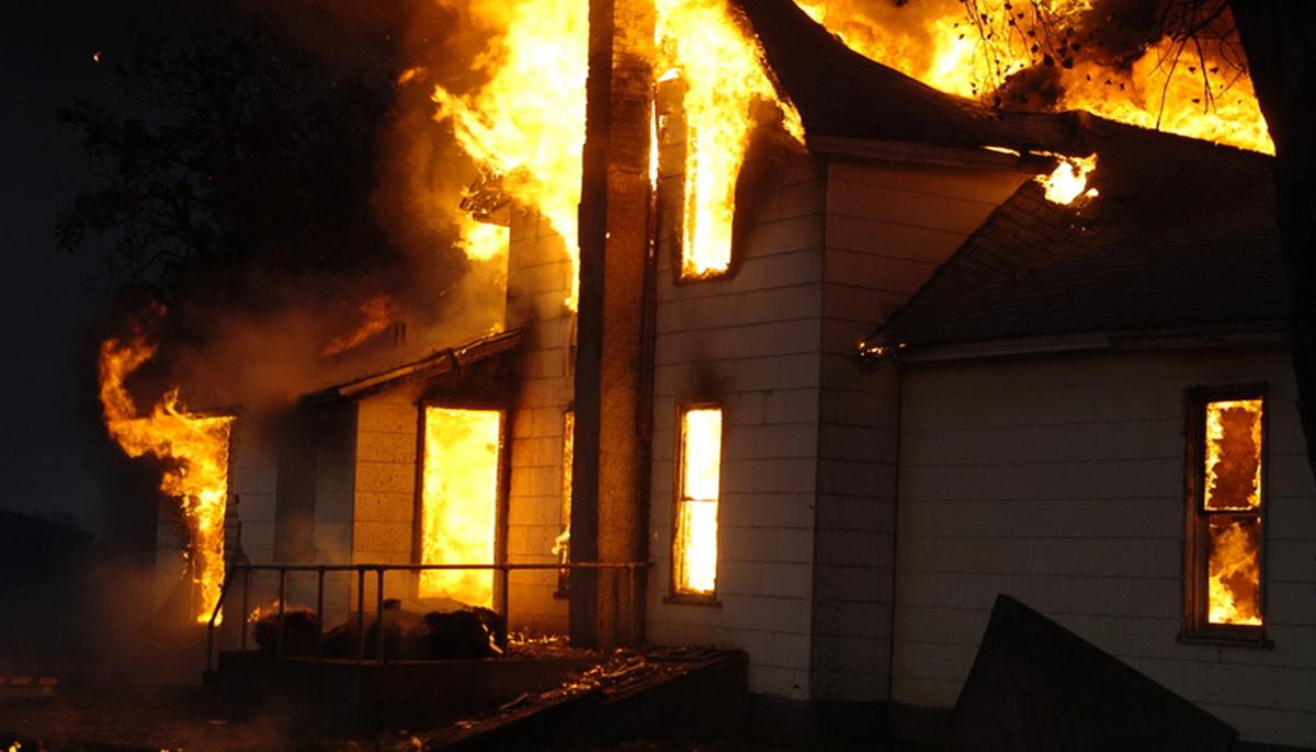 Barking Great Dane Credited for Saving Whole Family From Horrific Housefire