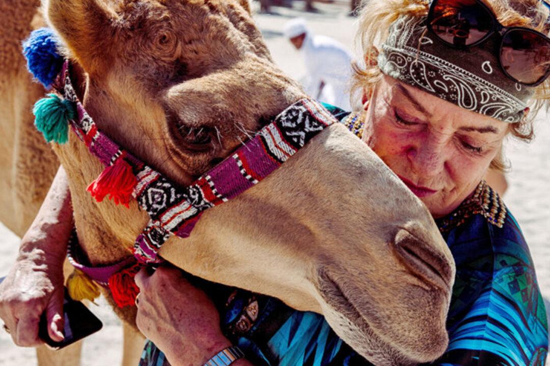Elderly German Woman Lives Off-Grid With 40 Camels in a Desert Farm in Dubai
