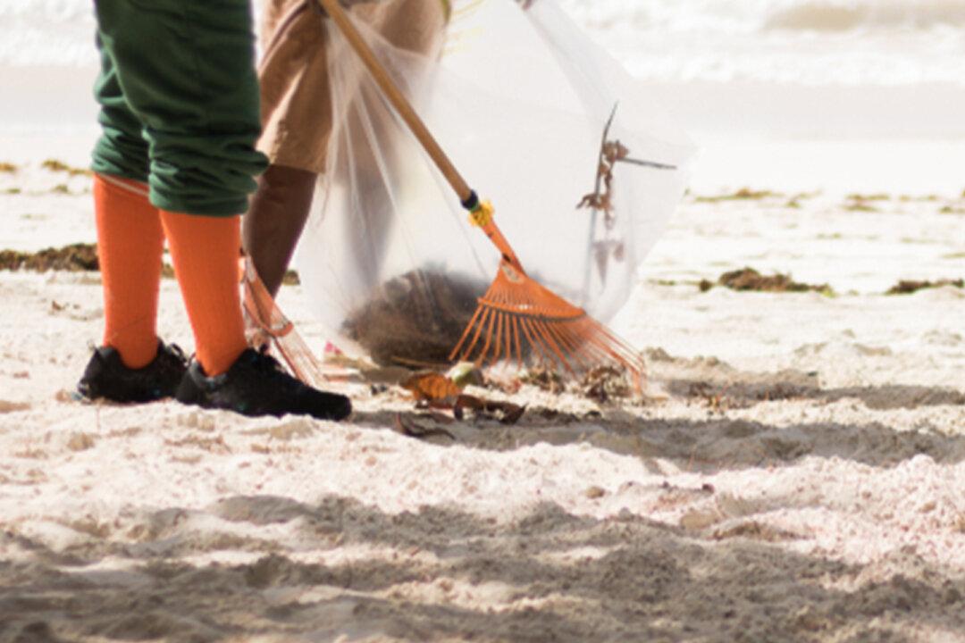 Beach Cam Watcher Spots San Diego Homeless Cleaning Beach for Free, Helps Repay Deed