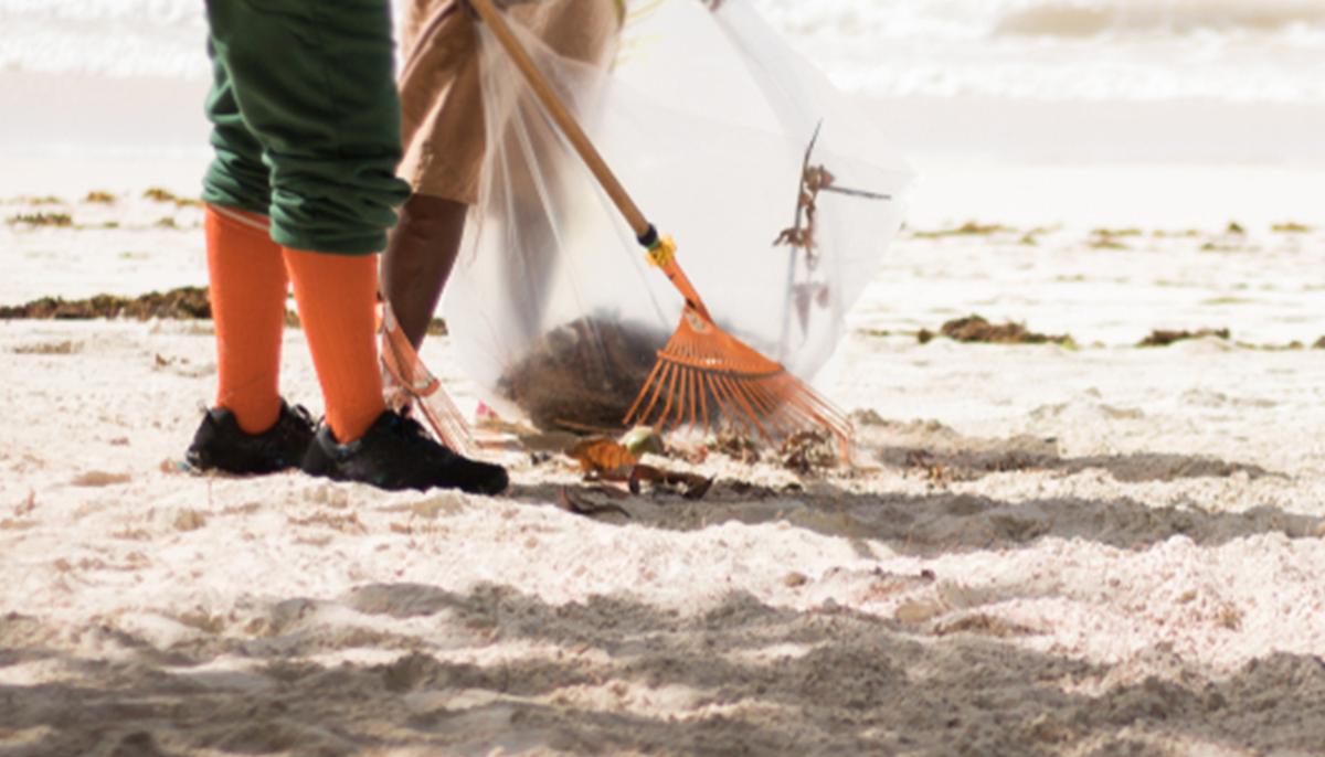 Beach Cam Watcher Spots San Diego Homeless Cleaning Beach for Free, Helps Repay Deed