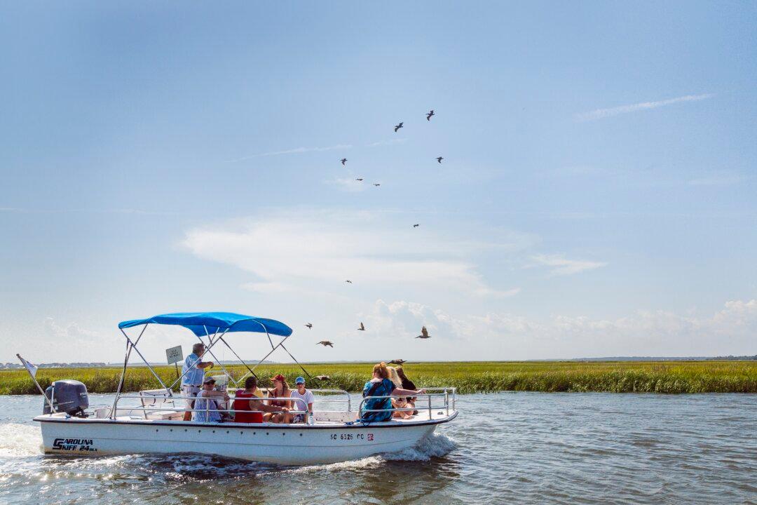 Edisto Island: A Vacation for Everyone