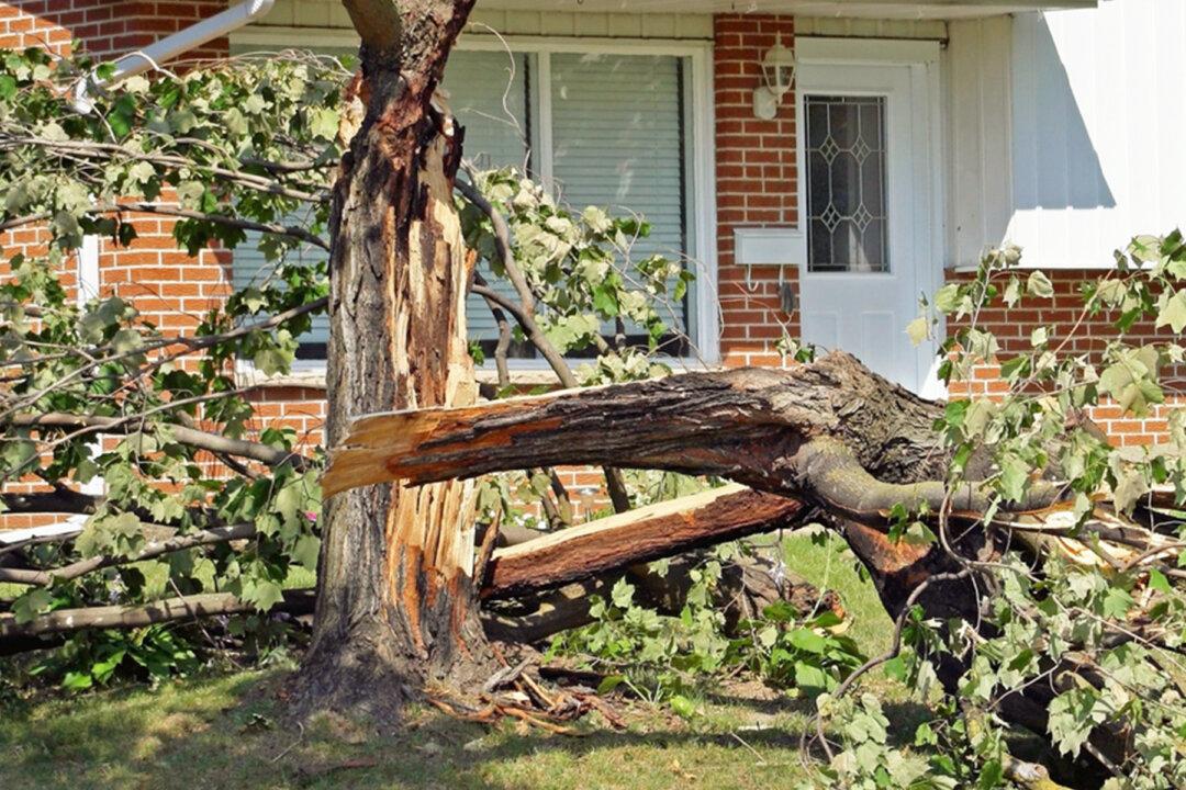 Windstorm Destroys Quadriplegic’s Yard–Then Iowa Football Team Clears It in 2 Hours