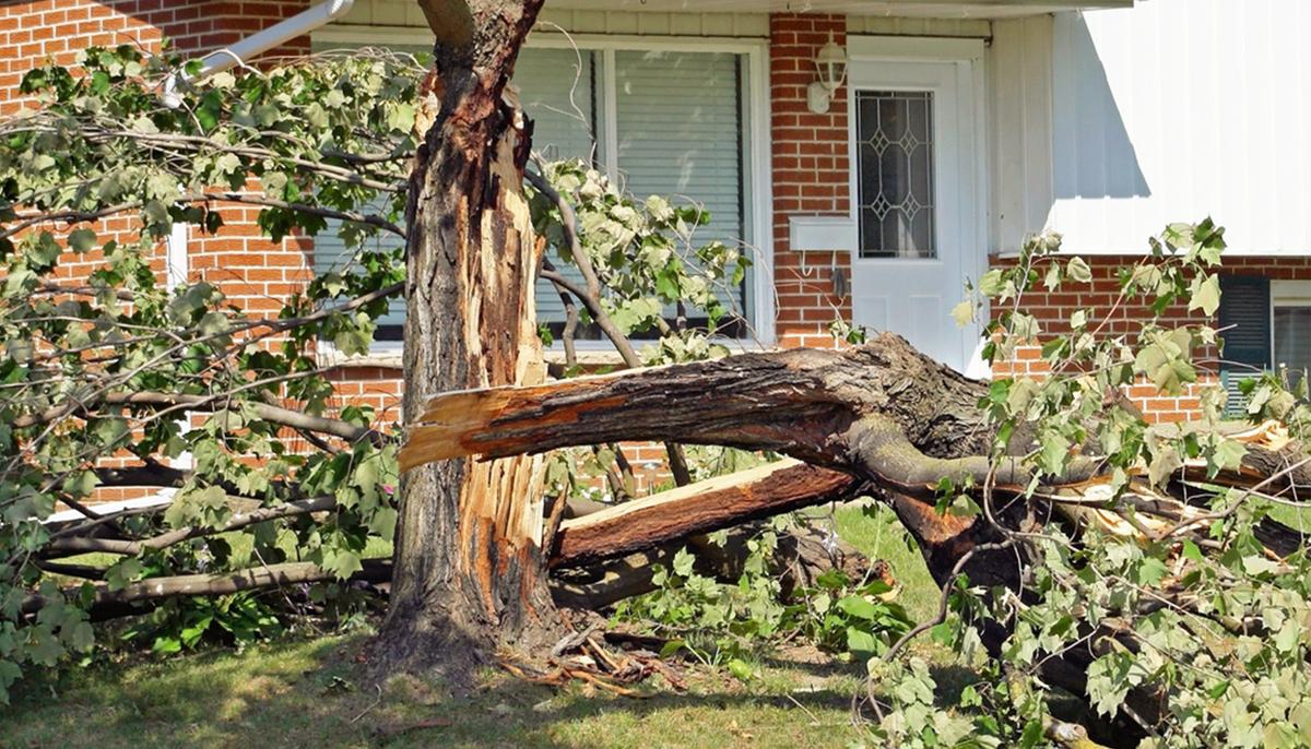 Windstorm Destroys Quadriplegic’s Yard–Then Iowa Football Team Clears It in 2 Hours