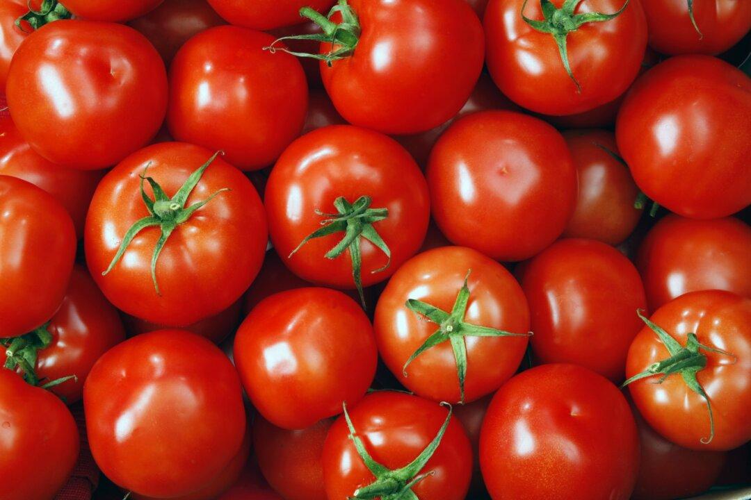 The Link Between Nightshades and Chronic Pain and Inflammation