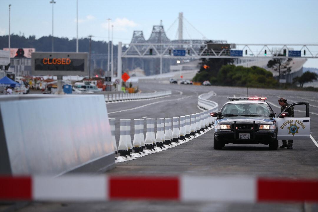 Protester Climbed on Police Car Before Being Thrown Off: Video