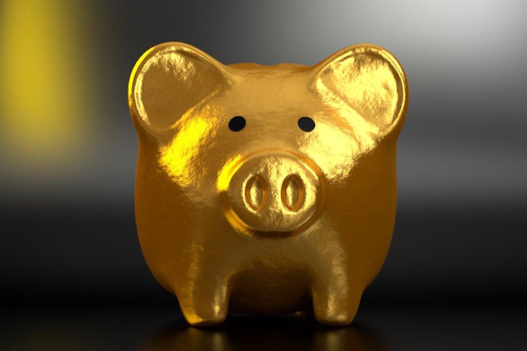 The Myth of the Savings Glut