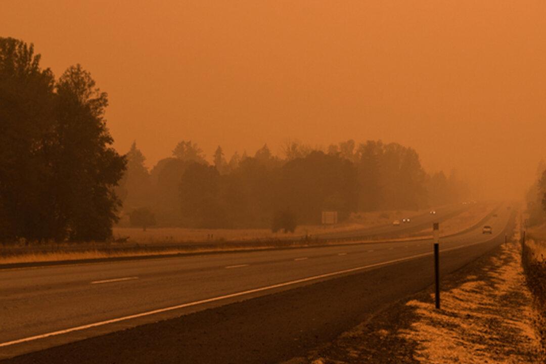 24 Huskies Rescued From Level 3 Evacuation Zone Amid Oregon Wildfire
