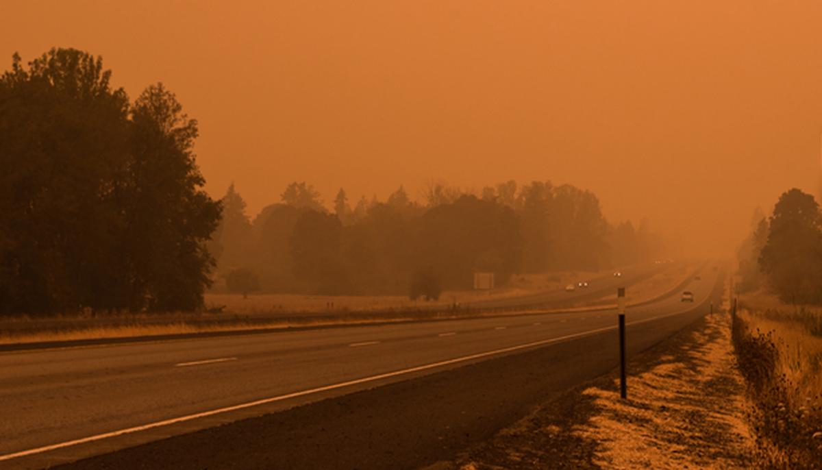 24 Huskies Rescued From Level 3 Evacuation Zone Amid Oregon Wildfire