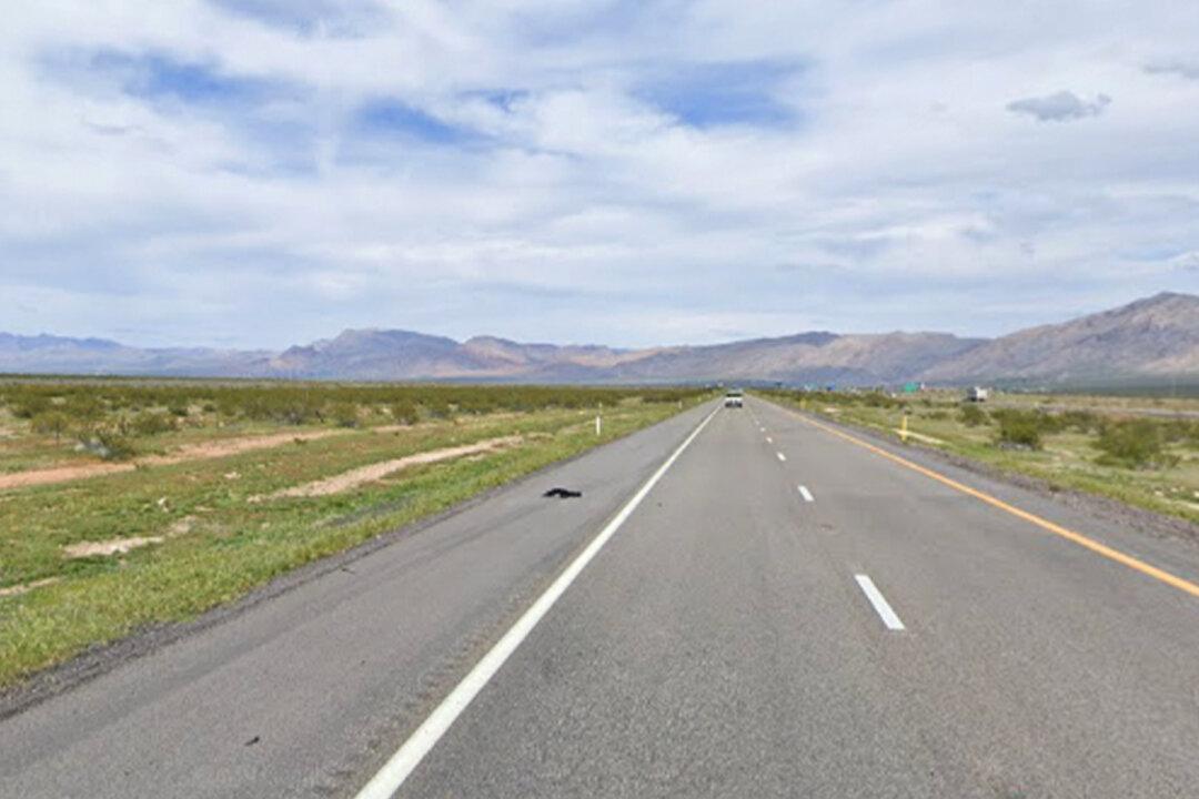 Heroic VA Nurse Takes Charge at 10-Victim Crash on Desert Highway in Blistering Arizona Sun