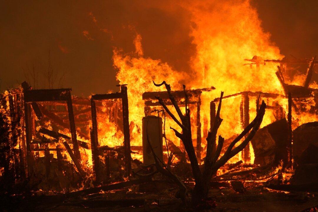 Wildfires, Coronavirus, and an Earthquake Collided for California’s Terrible Week