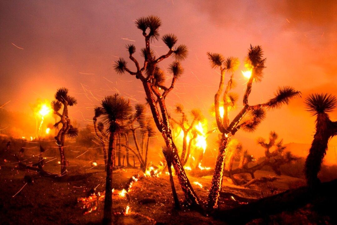Homes Destroyed After Winds Push California Fire Into Desert