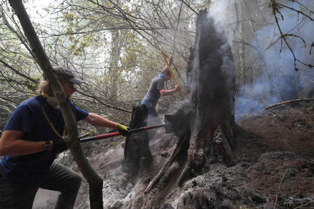 Neighbors and Firefighters Team Up to Protect Their Own Homes From Oregon Wildfires