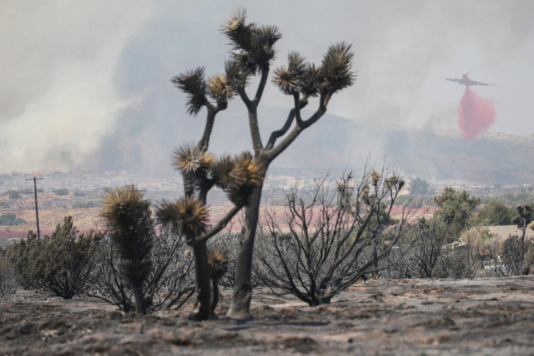 Desert Homes Threatened by Enormous California Wildfire