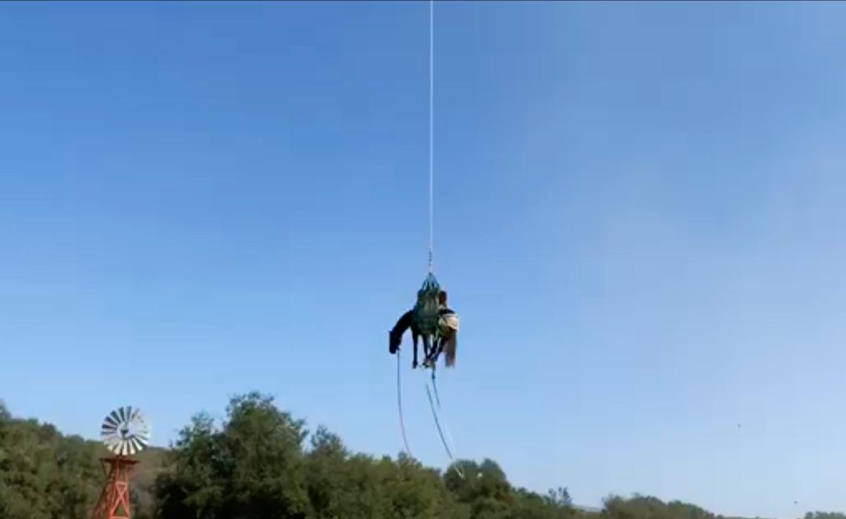 Horse Takes Flight After Falling Into OC Ravine