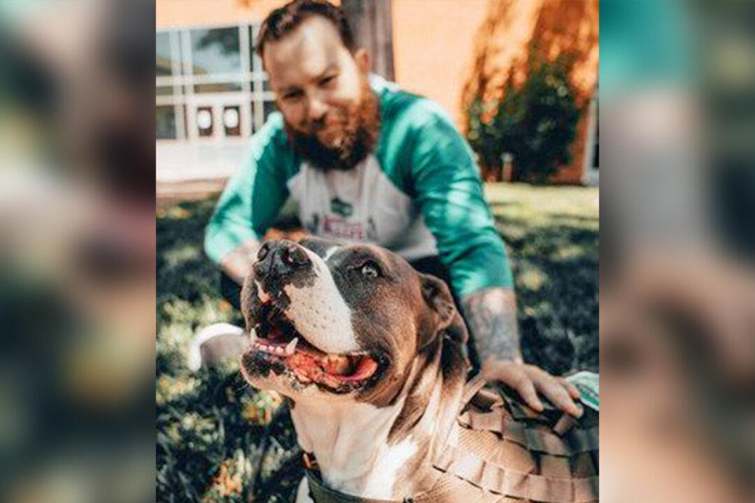 Pet Company Launches 3rd Annual Campaign to Pair Service Dogs With Veterans in Need