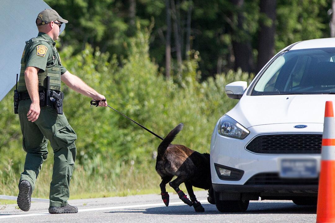 Border Patrol K9s Sniff Out 7lbs Cocaine, Meth, Pot, Leads to Arrest of 2 Drug-Smuggling Suspects