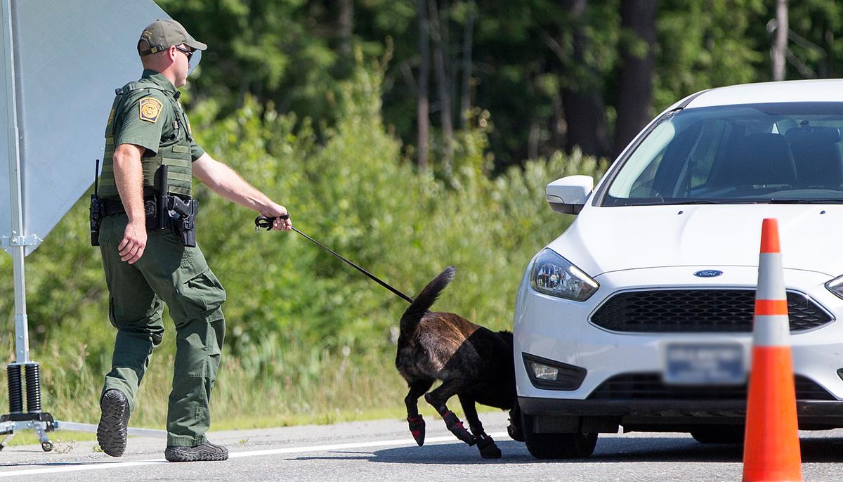 Border Patrol K9s Sniff Out 7lbs Cocaine, Meth, Pot, Leads to Arrest of 2 Drug-Smuggling Suspects
