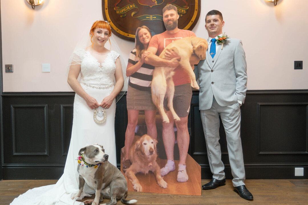 Couple Holds Wedding With Life-Size Cardboard Cutouts of Guests Amid Pandemic