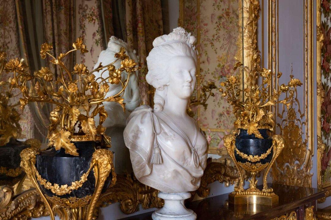 From Marie Antoinette to Modern Politics: The Deadly Art of the Smear