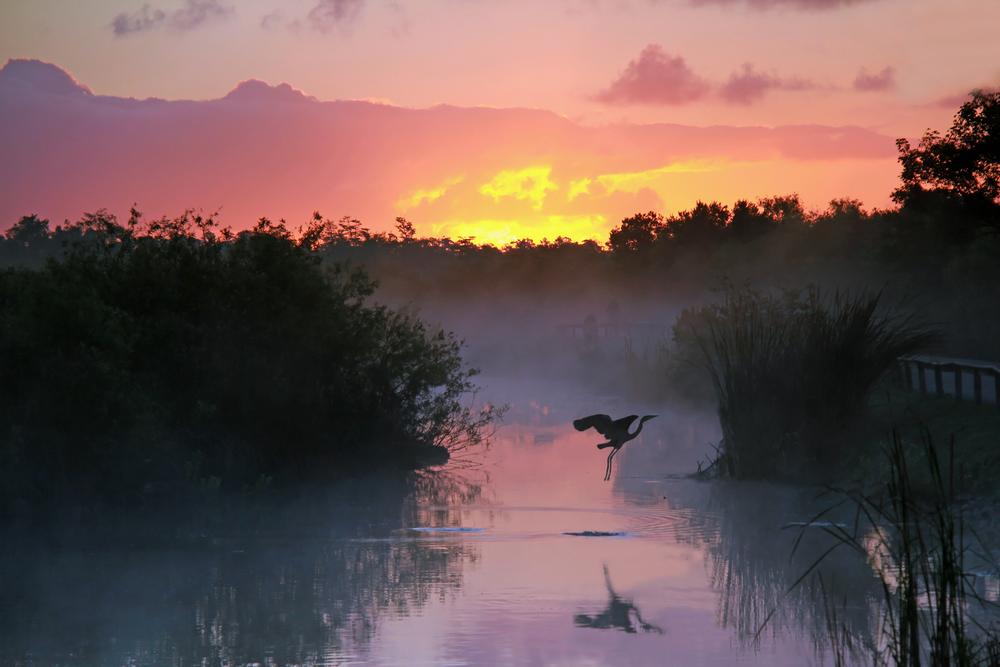 A Journey to Florida’s National Parks