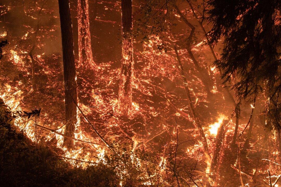 Napa Valley Wineries Threatened by Wildfires, as Second California Blaze Kills Three