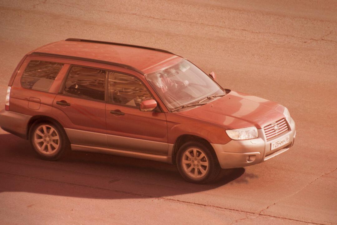 Oregon Woman Evacuates 85 Goats With Her Subaru as Wildfires Threaten Dairy Farm