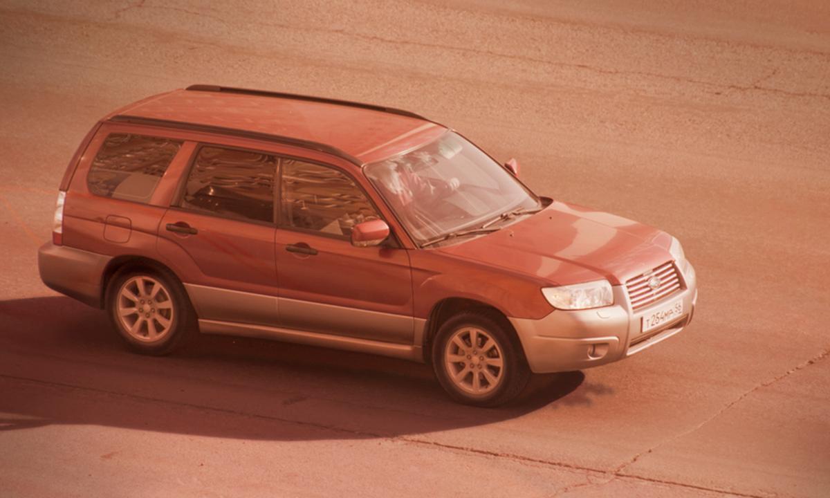 Oregon Woman Evacuates 85 Goats With Her Subaru as Wildfires Threaten Dairy Farm