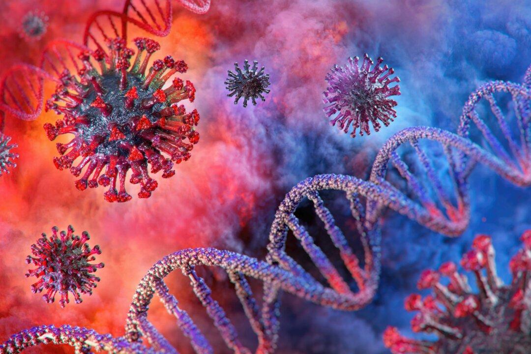 Team Finds ‘Footprint’ of Coronavirus Outbreak From 20K Years Ago