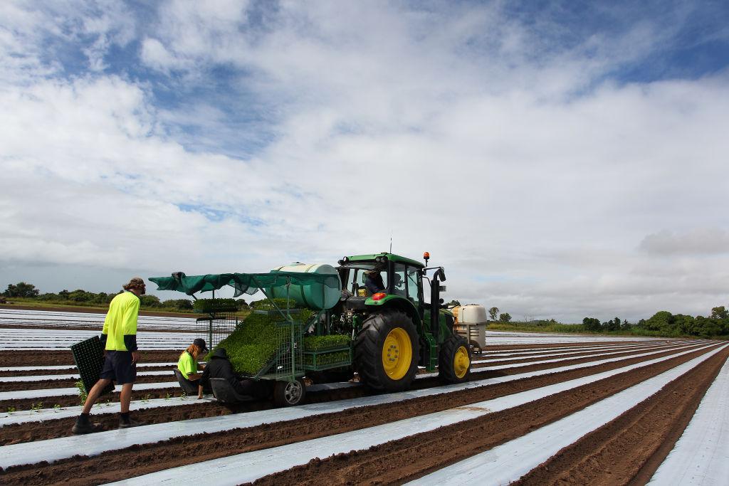 Address Worker Shortage or Face Food Security Crisis: Australian Opposition Leader Warns