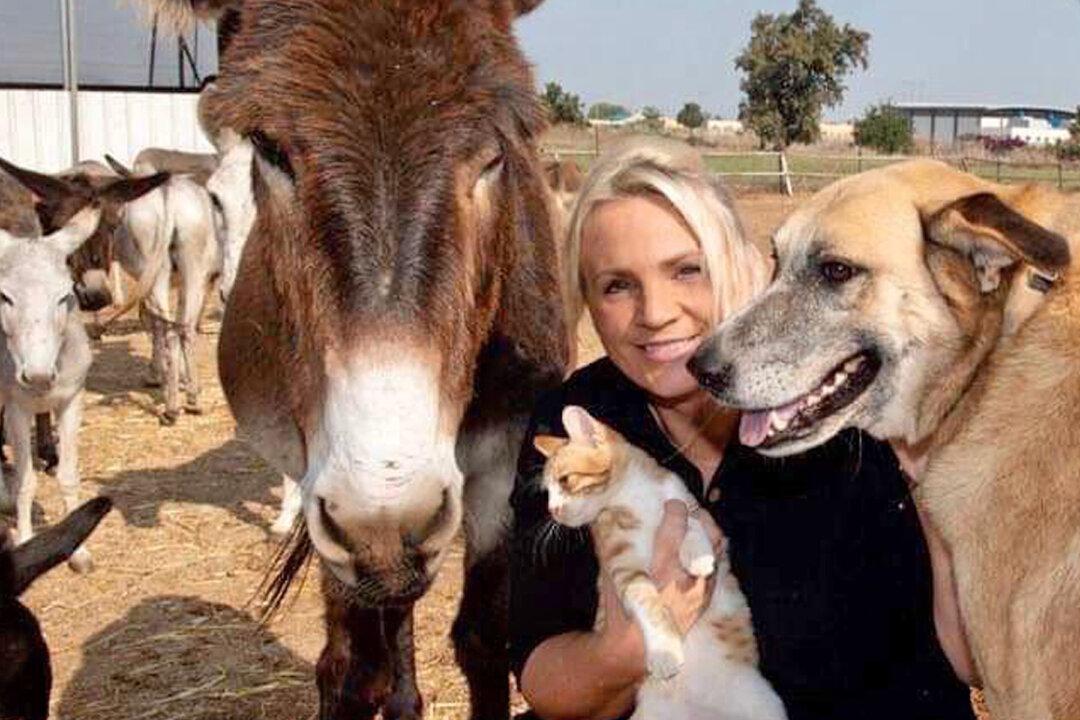 British Woman Runs Sanctuary in Israel to Rescue Mistreated Working Donkeys