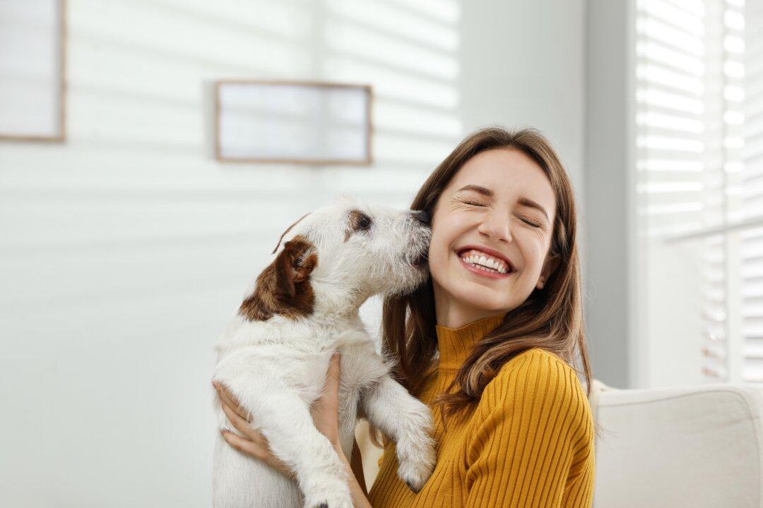 The Science-Backed Benefits of Being a Dog Owner