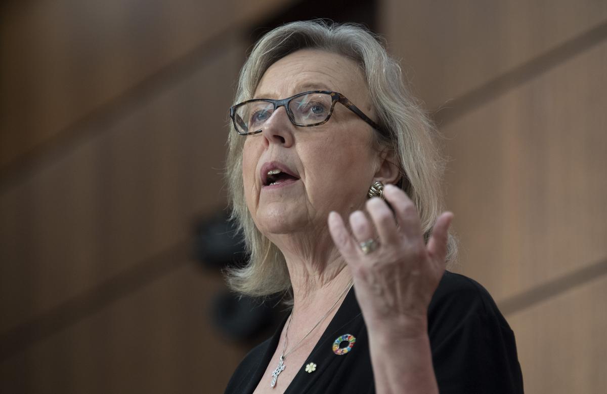 Green Party Leader Elizabeth May Suffered Stroke, Not Fatigue as First Thought