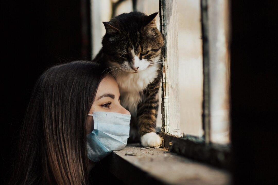 The Impact of Loneliness