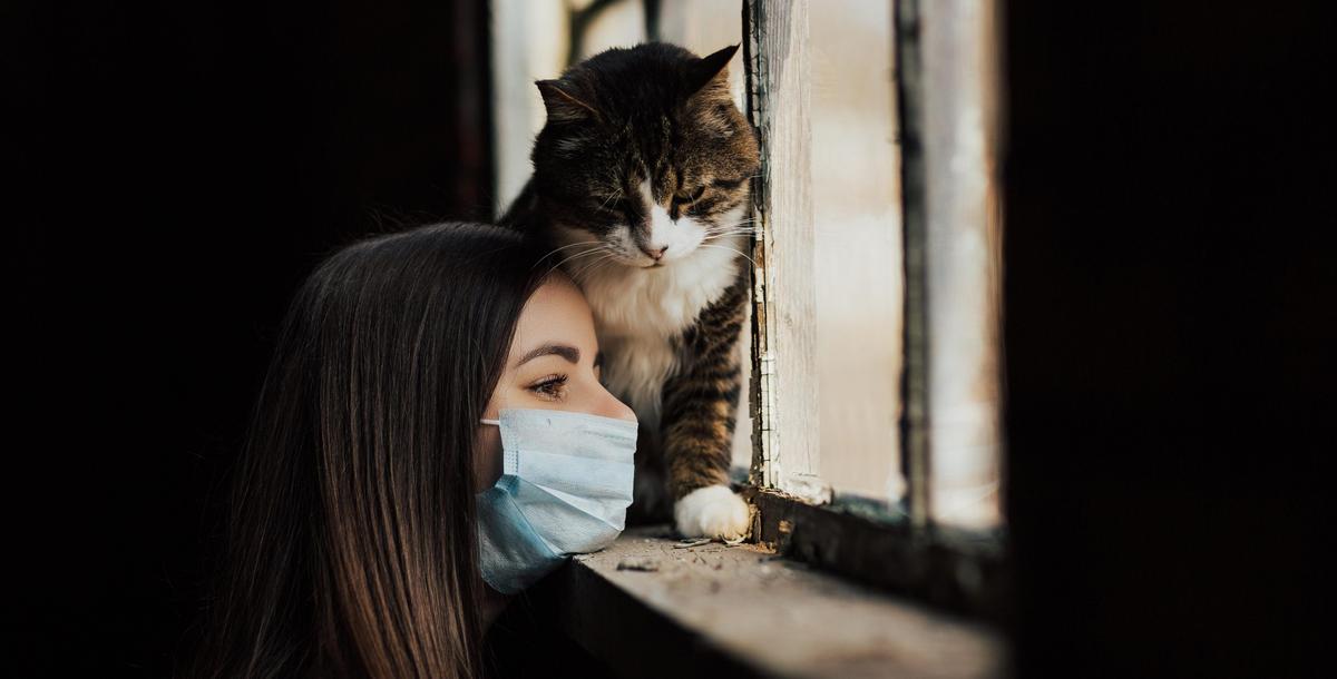 The Impact of Loneliness