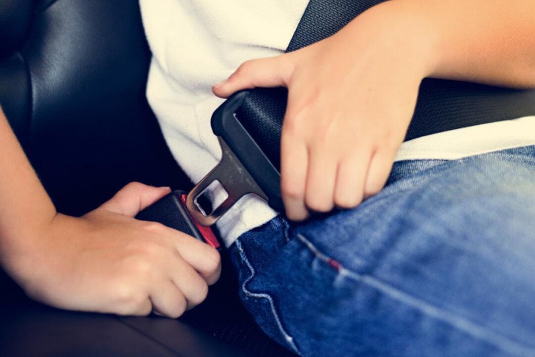 Australian State to Tighten Seatbelt Compliance Following Tragic Accident