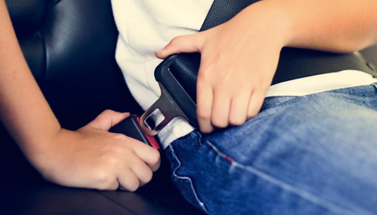 Australian State to Tighten Seatbelt Compliance Following Tragic Accident