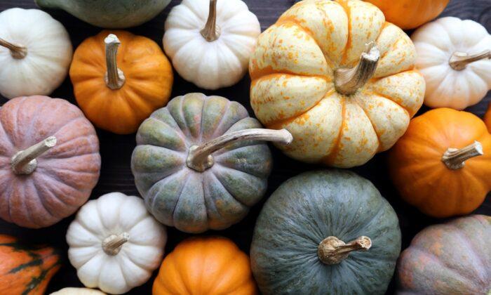 How to Store Pumpkins