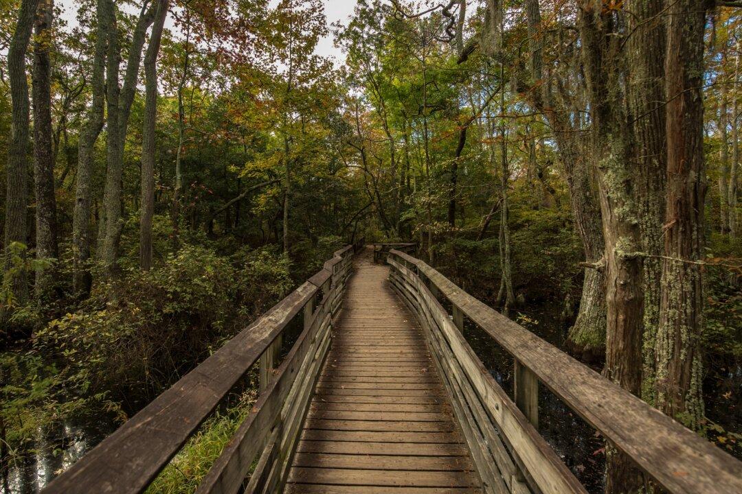 Virginia Beach, Rain or Shine