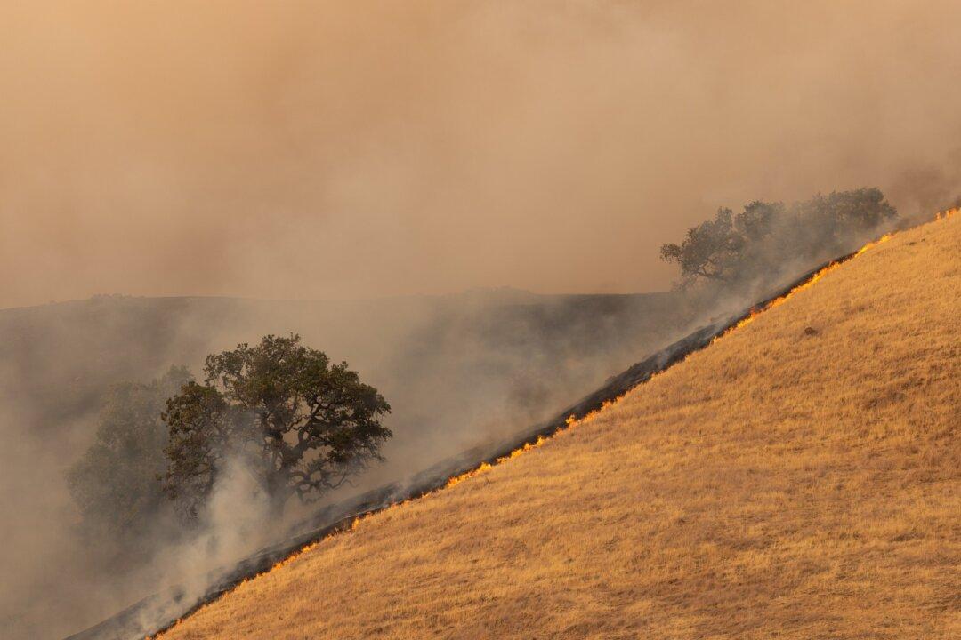 Wine Talk: Napa Valley Burning