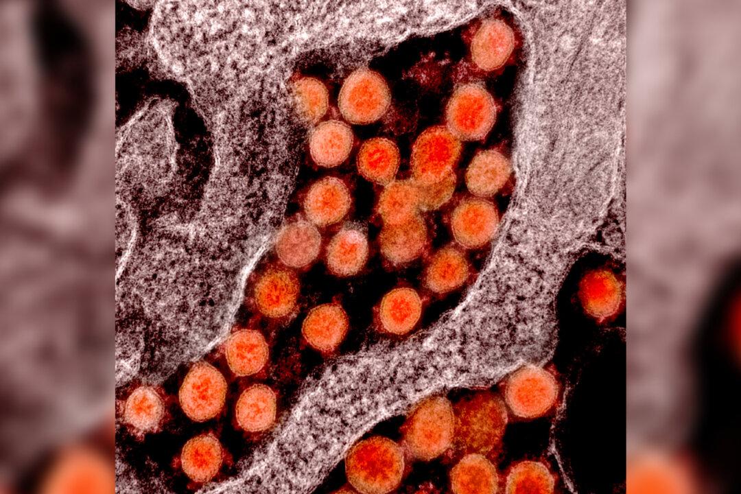 CCP Virus Could Cause Permanent Deafness Warn Researchers